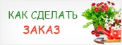 Как сделать заказ Как сделать заказ
