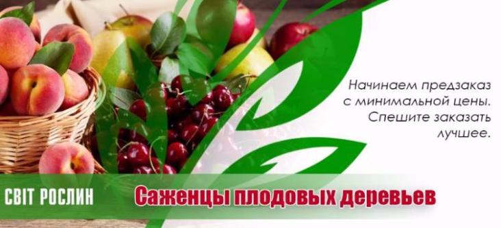 Нужны саженцы плодовых деревьев? Начинаем предзаказ с минимальной цены! Нужны саженцы плодовых деревьев? Начинаем предзаказ с минимальной цены!