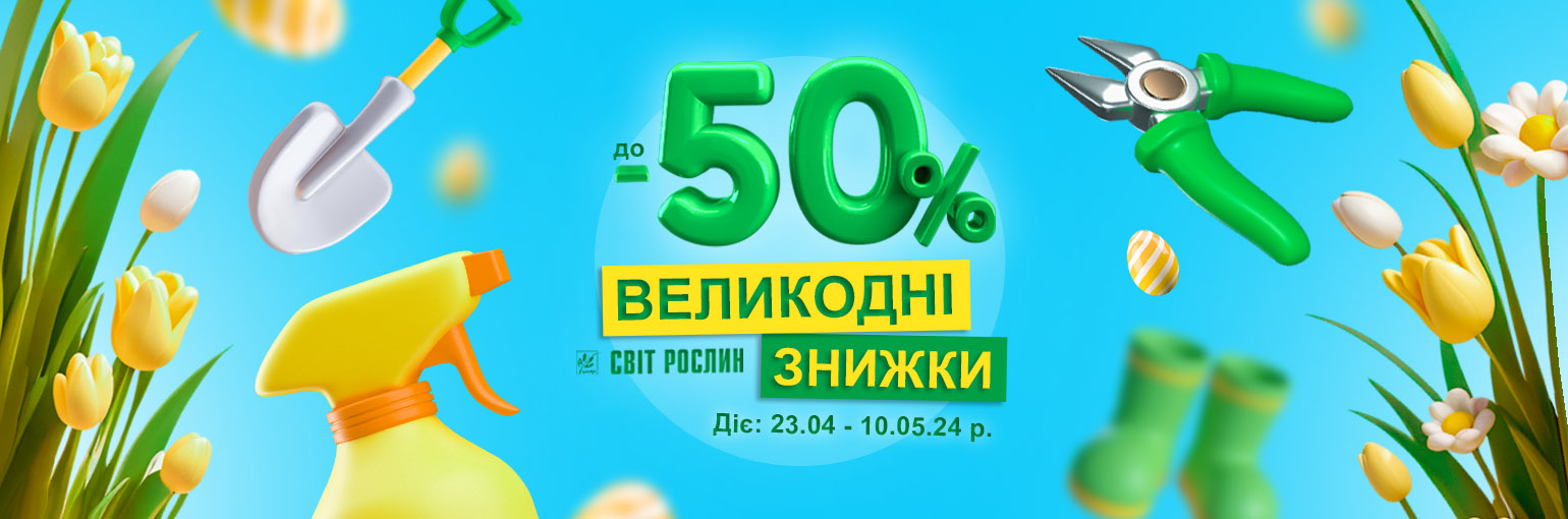    -50%