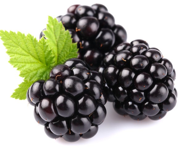 blackberry.jpg blackberry.jpg