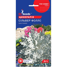 Насіння Цинерарія Сільвер Фоллс GL Seeds 0,1 г