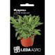 Семена Шалфей лекарственный Мудрец 0,4 г LedaAgro