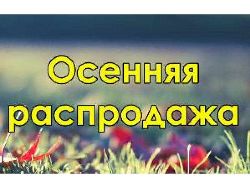 Осеняя разпродажа!
