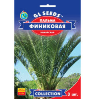 Насіння Пальма Фінікова 3 нас