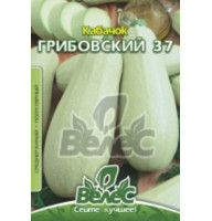 Насіння кабачка Грибовський-37