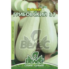 Семена кабачка Грибовский-37