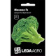 Семена Капуста брокколи Монако F1 10 сем LedaAgro