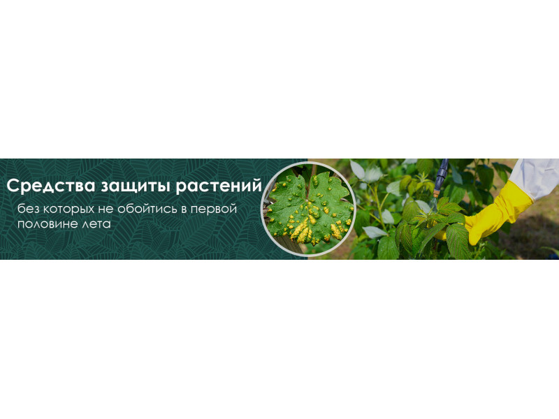 Засоби захисту рослин, без яких не обійтись в першій половині літа