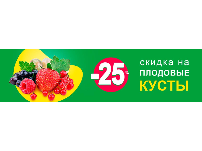 Поспішайте! Плодові кущі зі знижкою -25%!