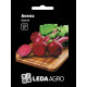 Семена Свекла Акела 750 сем Leda Agro
