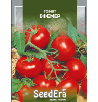Насіння Томат Ефемер 0,1 г Seedera