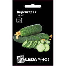 Семена Огурец Директор F1 10 сем Leda Agro