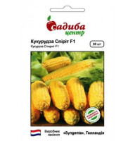 Насіння Кукурудза Спірит F1 20 нас