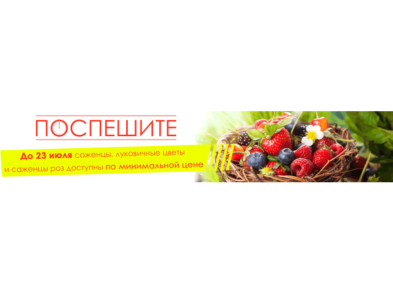 Встигніть купити сезонні товари за найнижчою стартовою ціною!