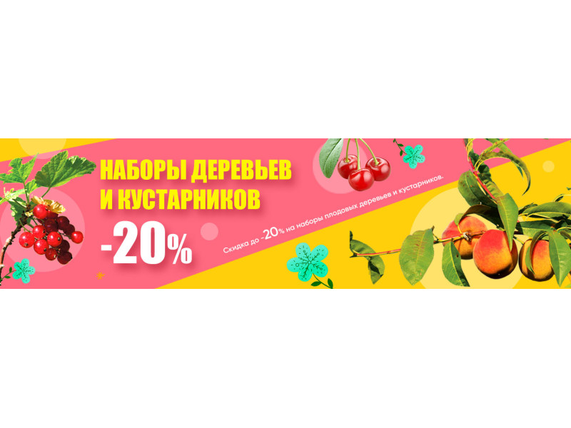 Знижка до -20% на набори плодових кущів та дерев!