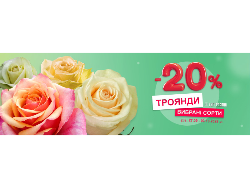 -20% на троянди