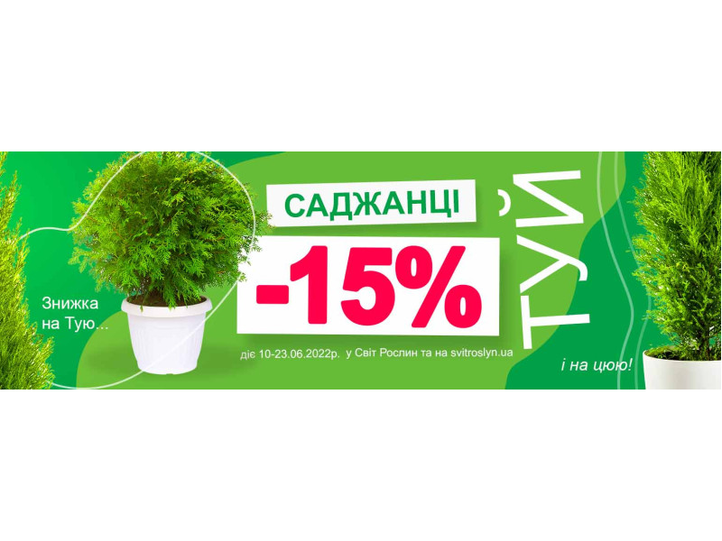 Знижка -15% на туї!