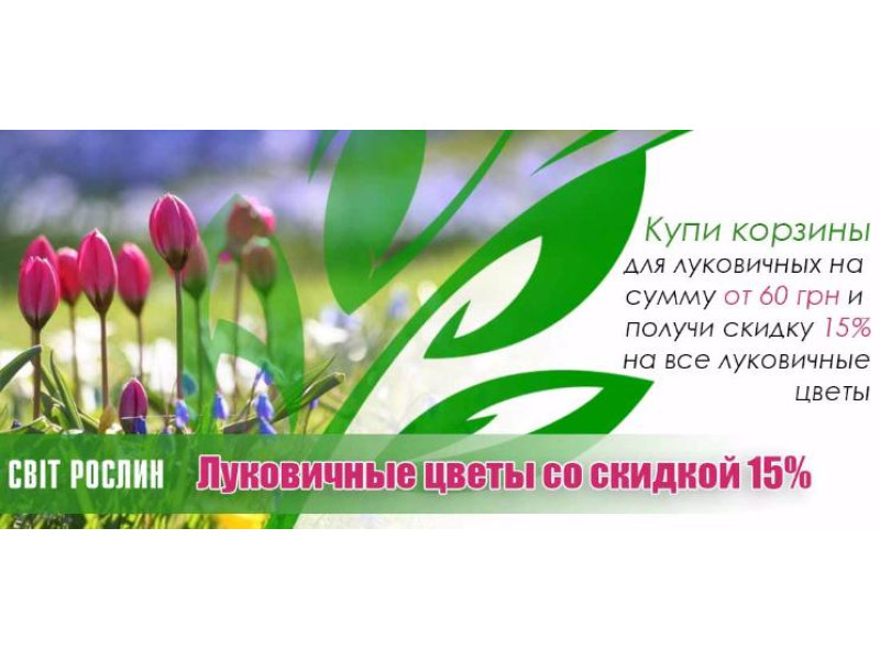  Акція! 15% знижка на цибулинні квіти.