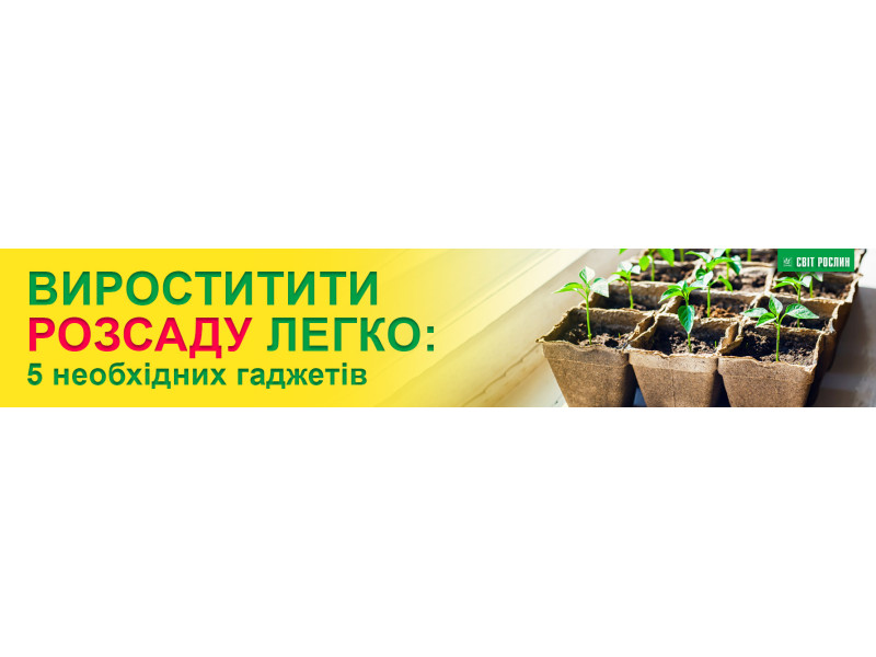 Виростити розсаду легко: 5 необхідних ґаджетів