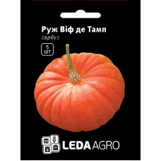 Насіння Гарбуз Руж Віф дЕтамп 5 шт LedaAgro