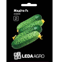 Насіння Огірок Мадіта F1 самозапильний 10 шт LedaAgro