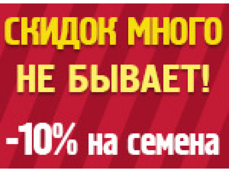 Знижок багато не буває!