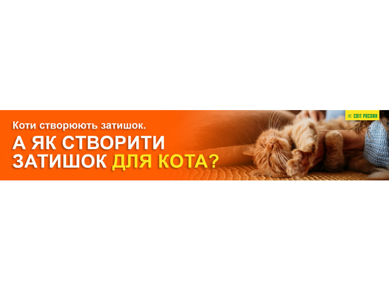 Коты создают уют. А как создать уют для кота?