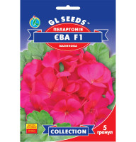 Насіння Пеларгонія зональна Єва F1 5 насінин GL Seeds