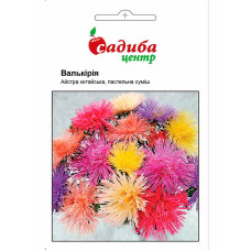 Семена Астра Валькирия Смесь 0,2 г