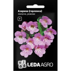 Азарина (Горлянка) рожева ползучая 4 шт