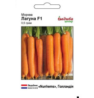 Насіння Морква Лагуна F1 СЦ 400 нас