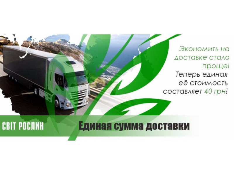 Єдина сума доставки