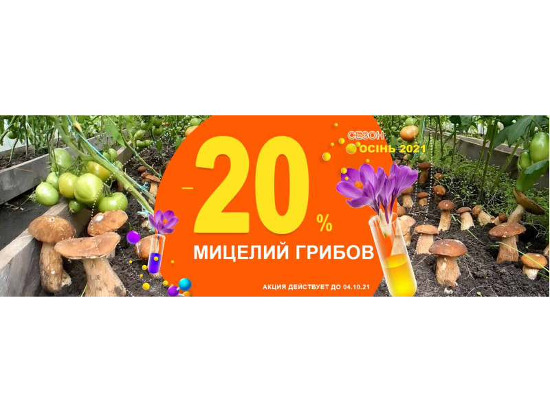 Вітаємо зі Всесвітнім Днем грибника!