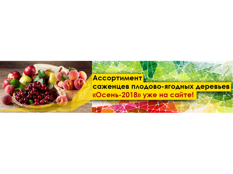 Асортимент саджанців плодових дерев «Осінь-2018» вже на сайті!