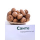 Семенной картофель Санте 2 репродукция 1 кг