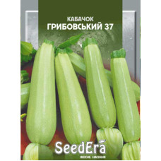Насіння Кабачок Грибовський-37 10 г Seedera