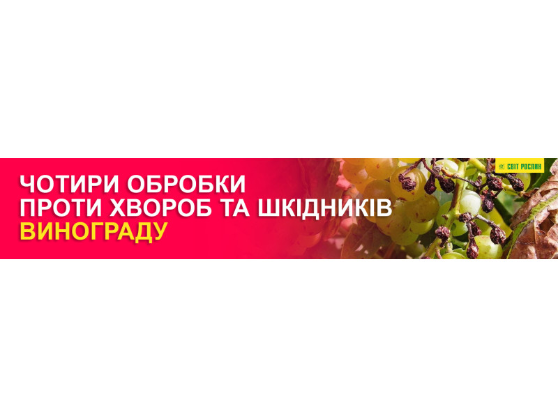 Чотири обробки проти хвороб та шкідників винограду