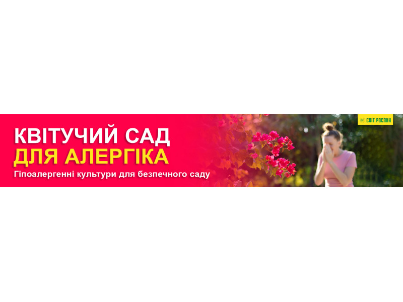 Цветущий сад для аллергика. Гипоаллергенные культуры для безопасного сада