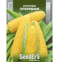 Насіння Кукурудза цукрова Суперрання 20 г Seedera
