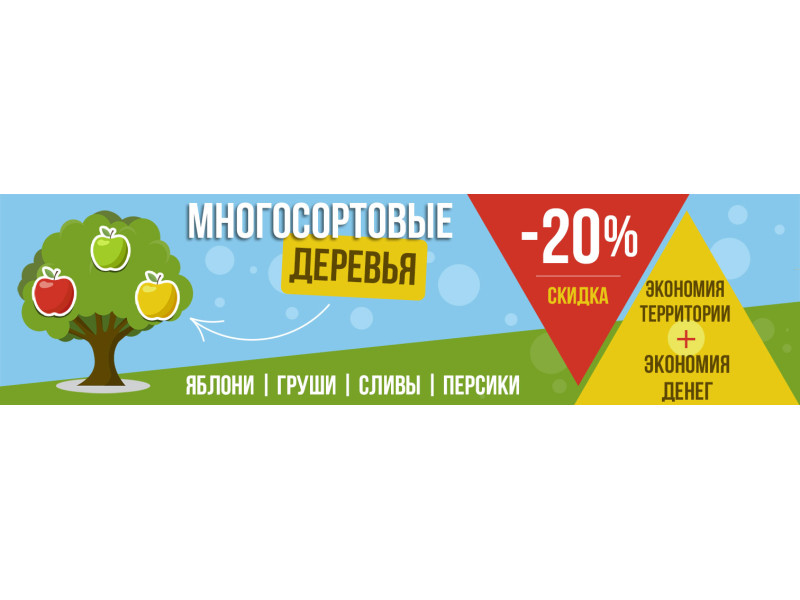 Ексклюзивні багатосортові дерева зі знижкою -20%! Поспішайте, кількість обмежена!