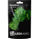 Семена Кориандр Слоуболт 2 г LedaAgro