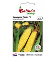 Насіння Кукурудза Трофі F1 СЦ 20 нас