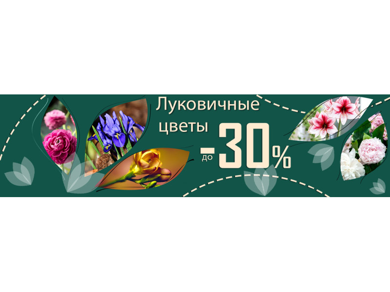 Акция! До -30% на избранные луковичные цветы!