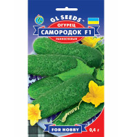 Насіння Огірок Самородок F1 GL Seeds 0,4 г