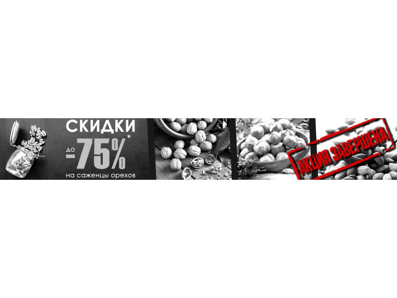 Безпрецедентна акція! До -75% на саджанці горіхів