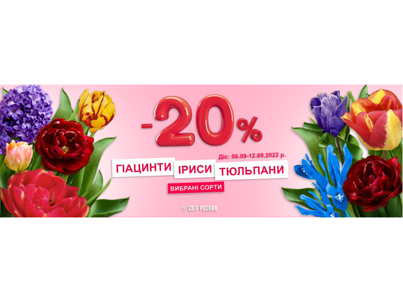 -20% на гіацинти, іриси, тюльпани