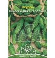 Насіння огірка Виноградне гроно 0,5 г