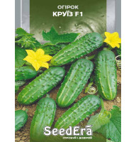 Насіння Огірок Круїз 0,5 г Seedera
