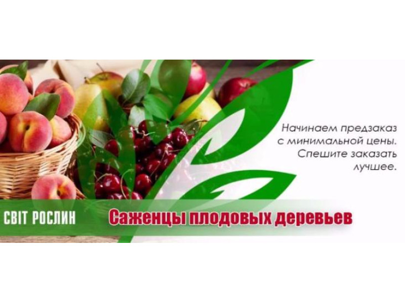 Потрібні саджанці плодових дерев? Починаємо передзамовлення з мінімальної ціни!