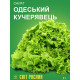 Насіння салату Одеський кучерявець 2 г 